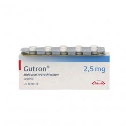Гутрон таблетки 2,5 мг. №20 в Абакане и области фото